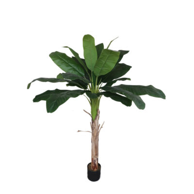 BANANA TREE (78”) X21LVS