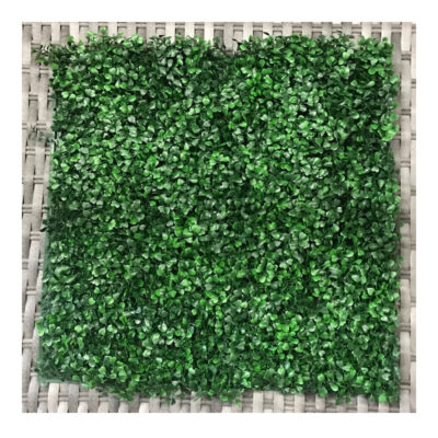 BOXWOOD GR