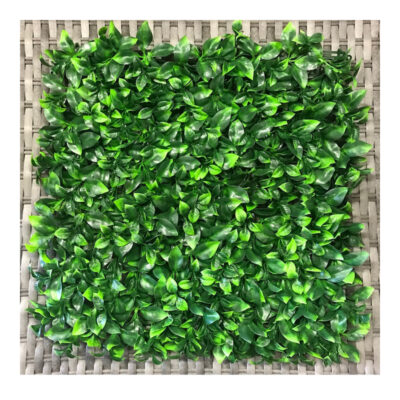 PRIVET LEAF MAT 50X50.jpg