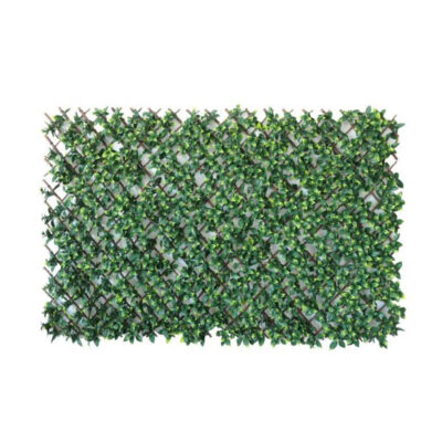 PRIVET LEAF WALL TRELLIS